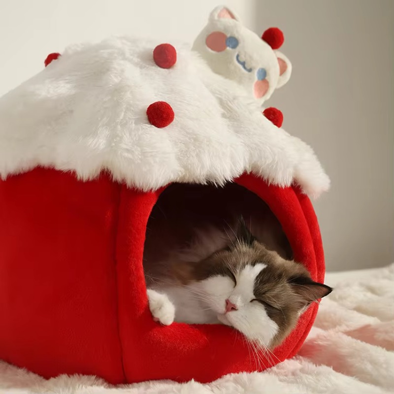 Sustainable Living House - Rumah Gua Kucing Bergaya Musim Dingin