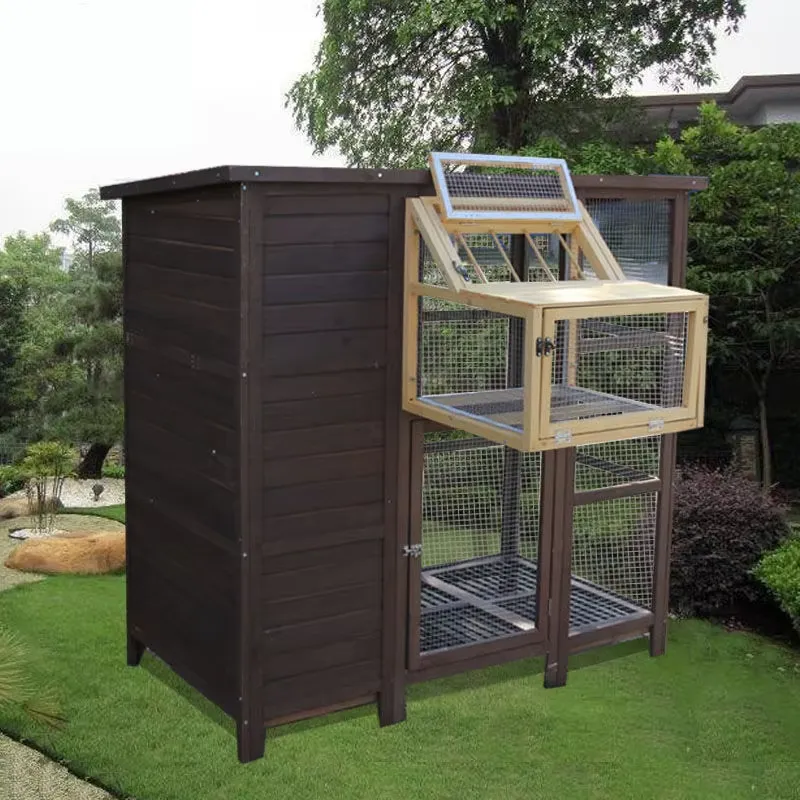 Kandang Burung Domestik Gabung - Sustainable Living House ulasan dan harga