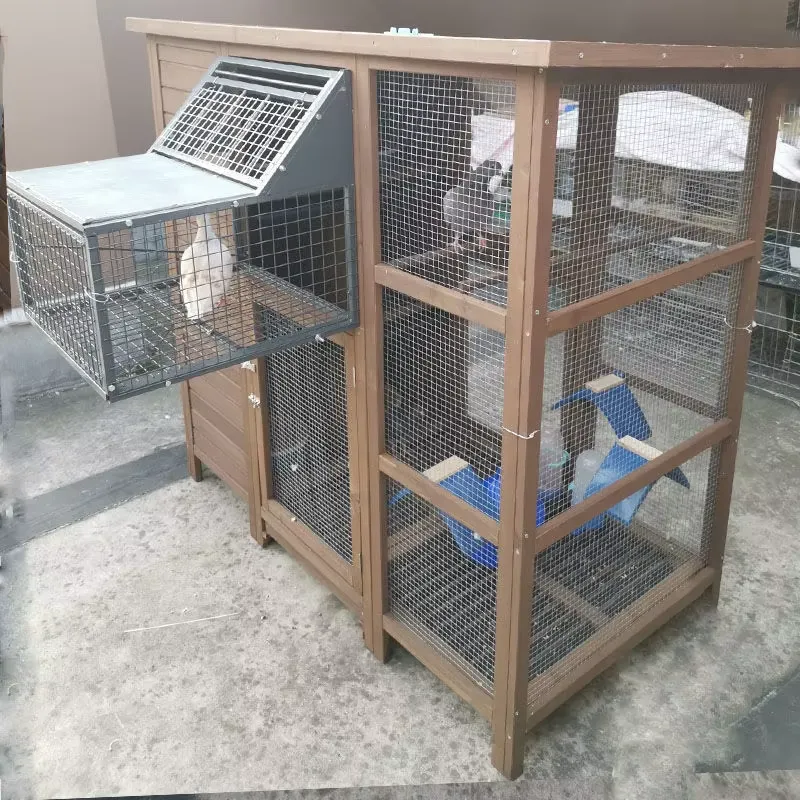 Kandang Burung Domestik Gabung - Sustainable Living House ulasan dan harga