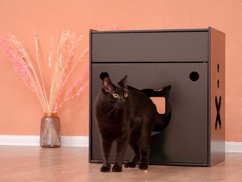 Kotak Kotoran Kucing dari Bamb - Sustainable Living House ulasan dan harga